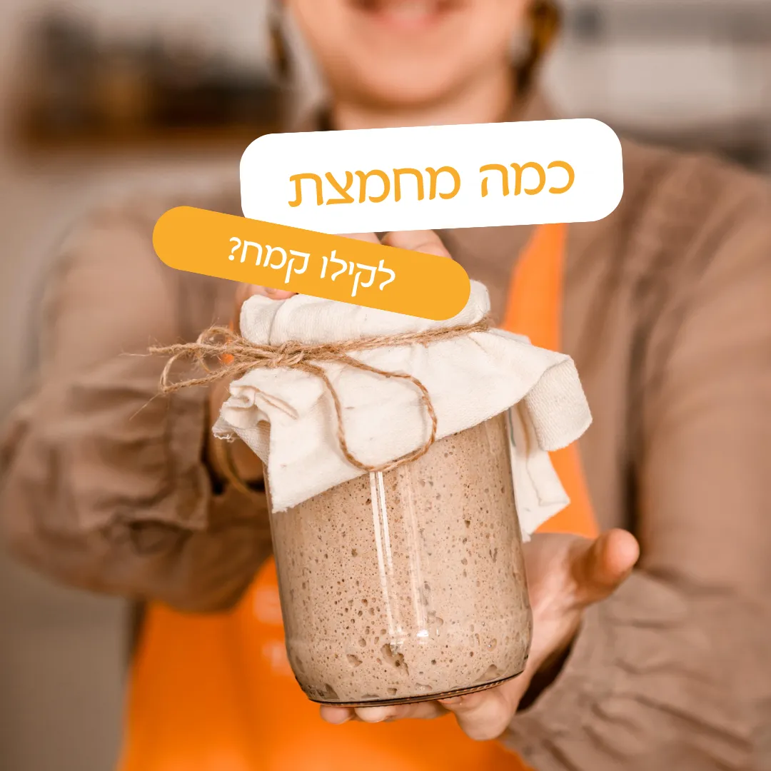 כמה מחמצת לקילו קמח